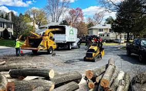 Best Seasonal Cleanup (Spring/Fall)  in Mather, CA